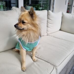 Randig myströja/pyjamas grön eller rosa