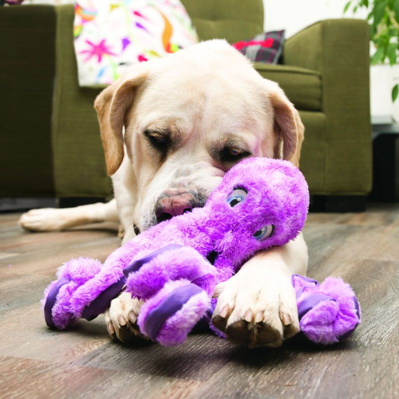 KONG - Leksak SoftSeas Octopus Lila liten eller stor - Bild 3