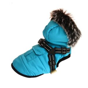 Mangman luvjacka med inbyggd sele blå