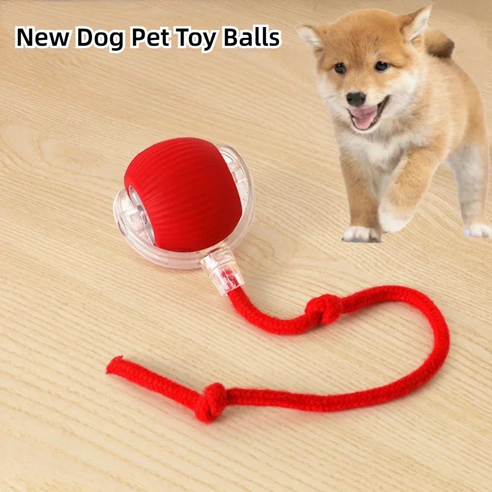 Intelligent interactive ball - Bild 2