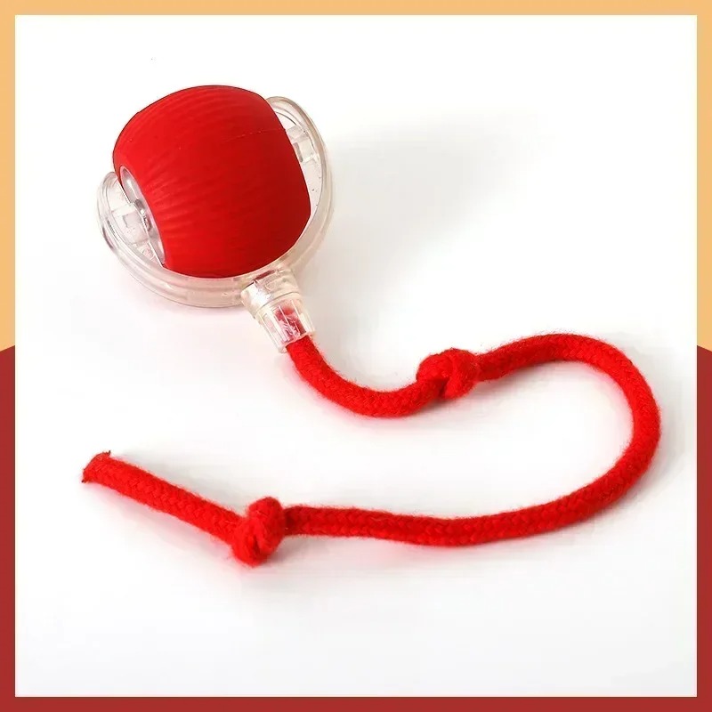 Intelligent interactive ball